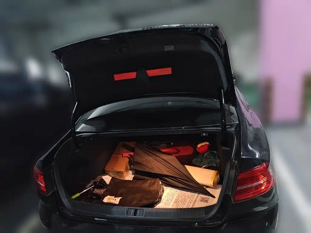 Volkswagen Magotan — миниатюра 10