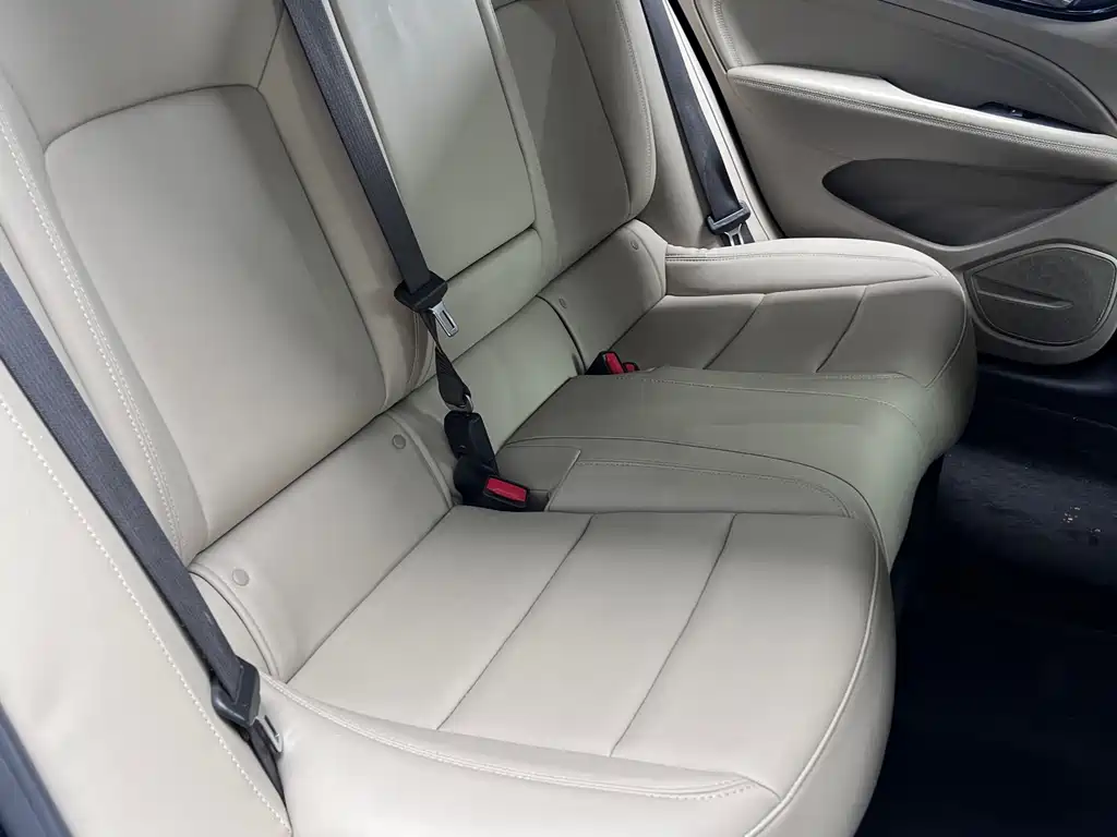 Buick Regal — миниатюра 21