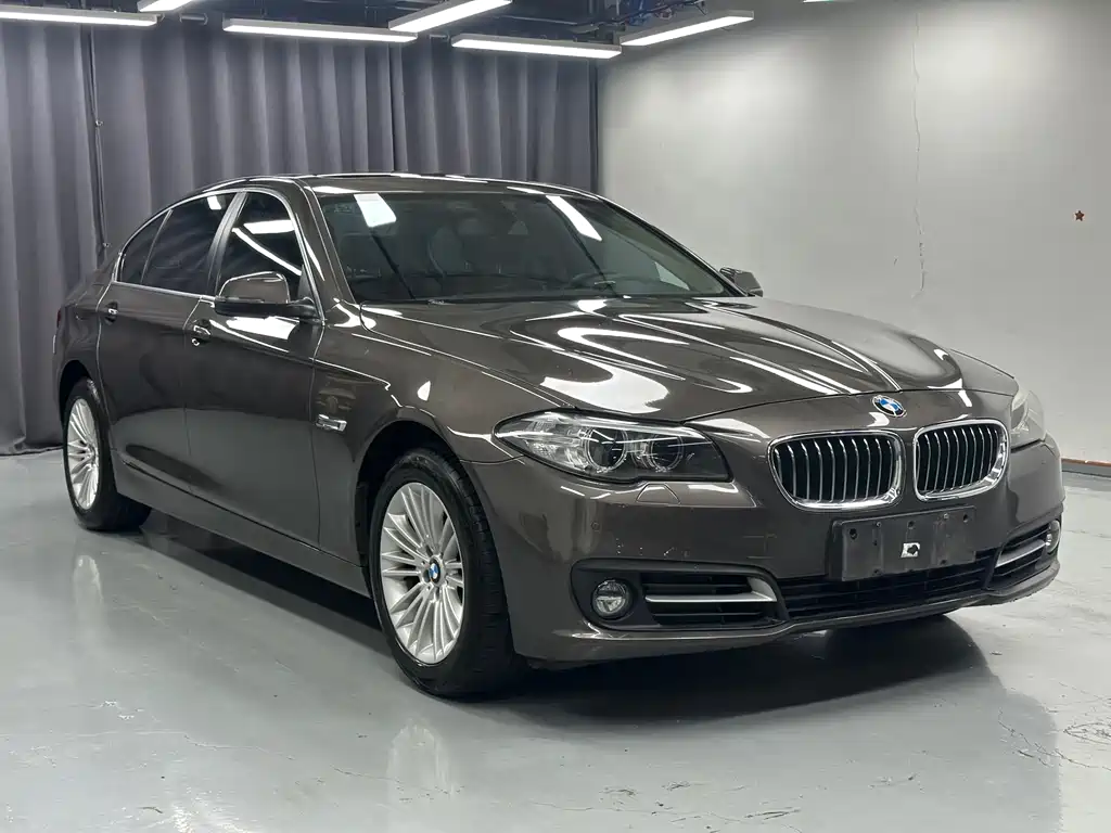 BMW 5 Series 5 2014 525Li Lead