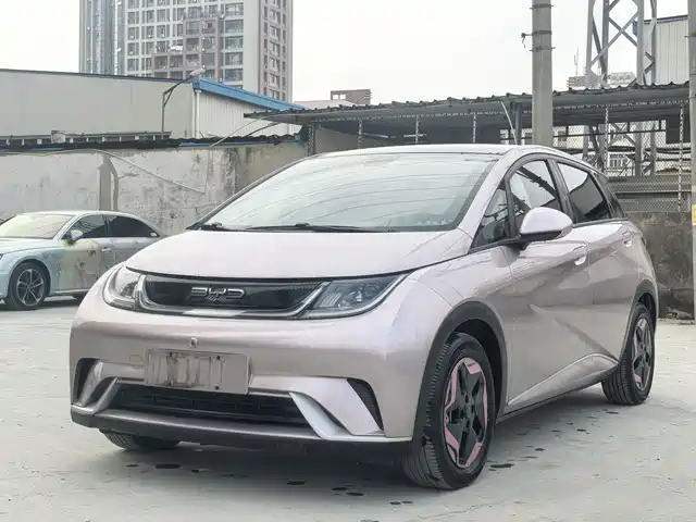 BYD DOLPHIN 2022