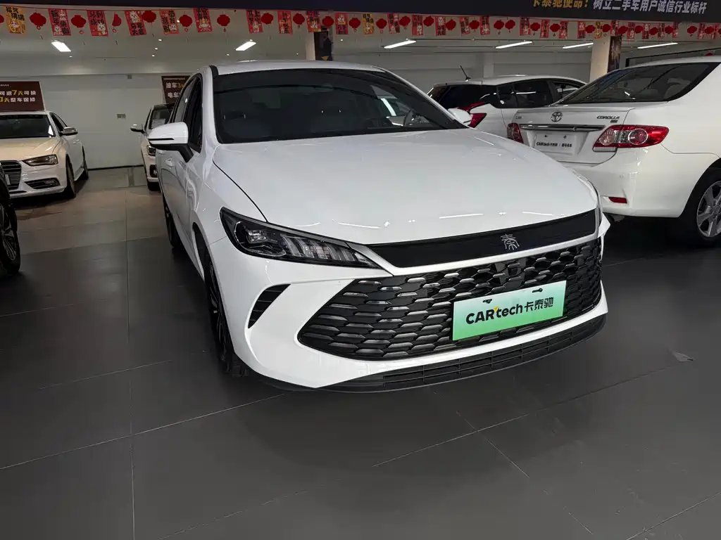 BYD Qin PLUS - фото 3