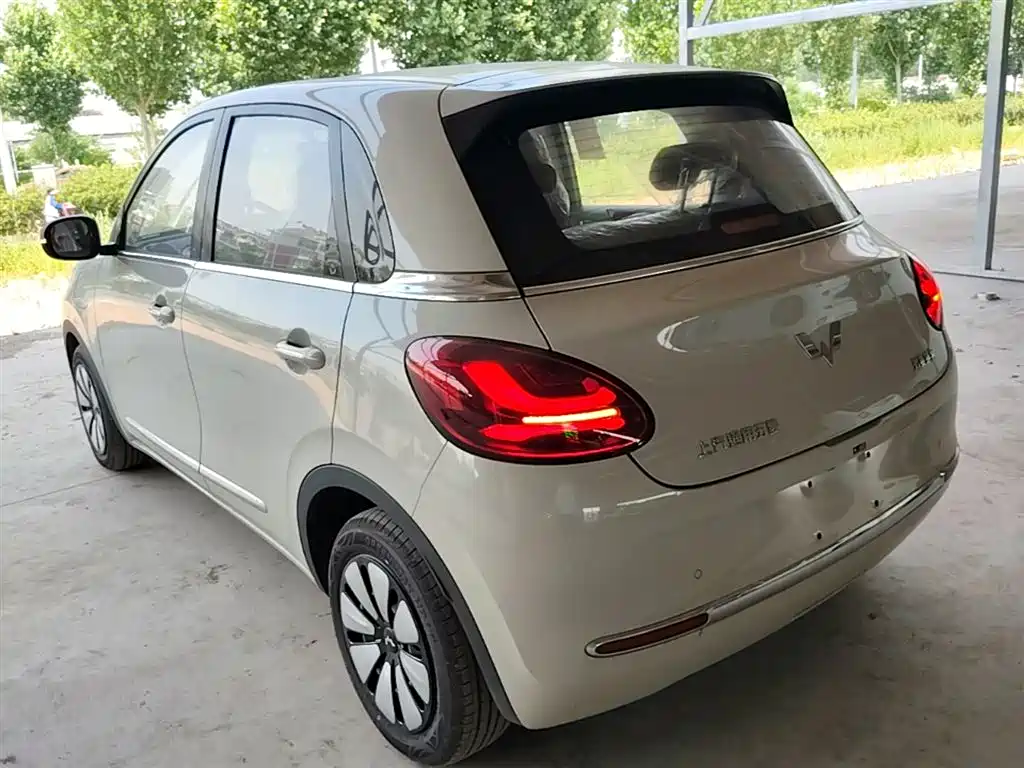 Wuling Binguo 2024 333km Enjoy