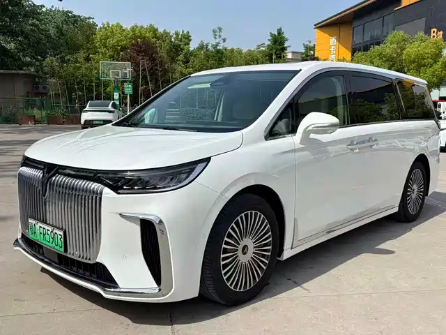 2024 Voyah Dream