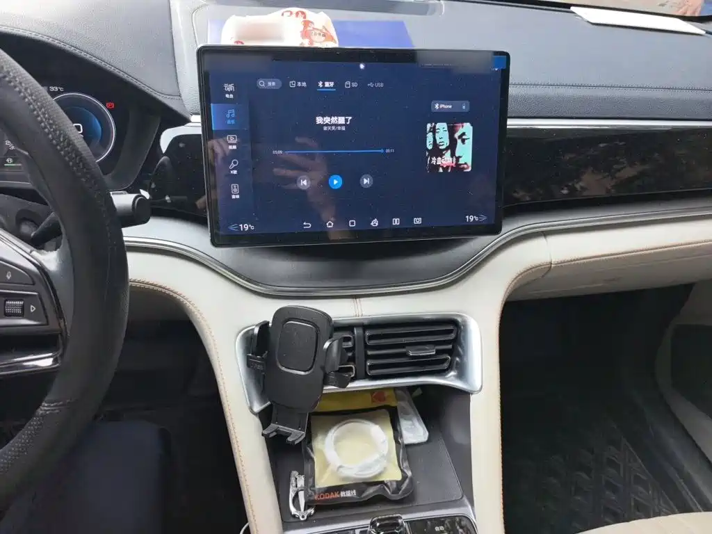 BYD PLUS New Energy — миниатюра 6