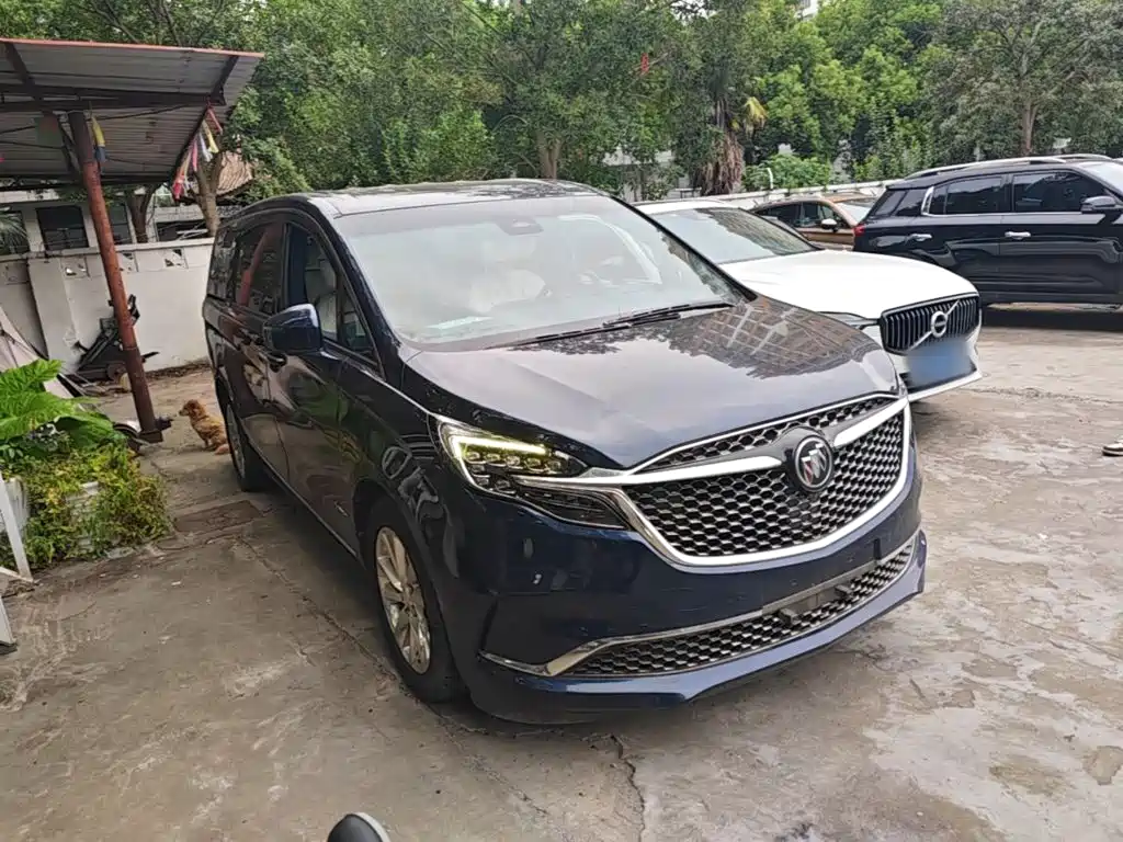 Buick GL8 — миниатюра 4