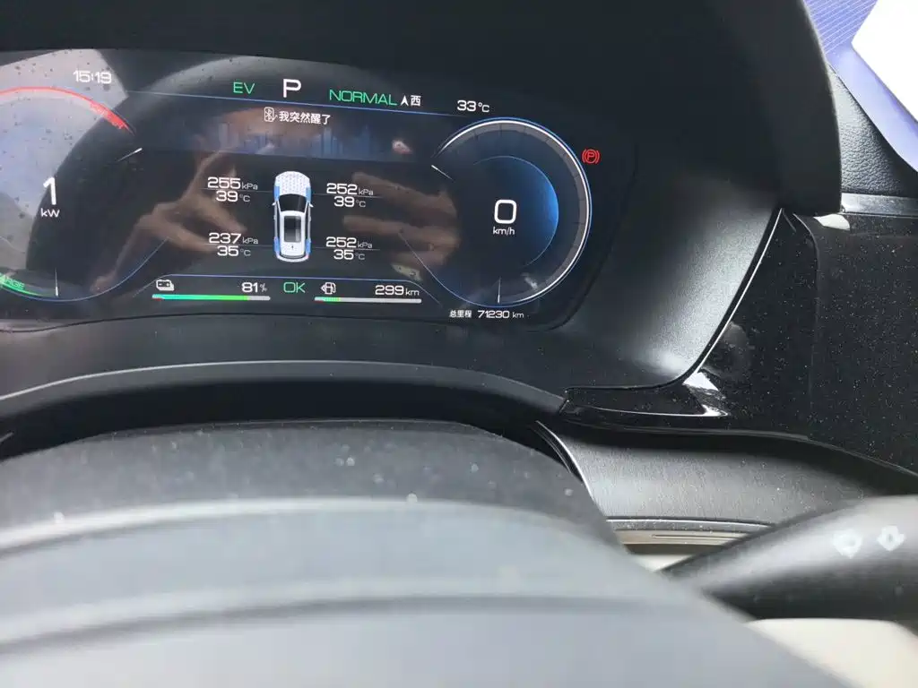 BYD PLUS New Energy — миниатюра 5