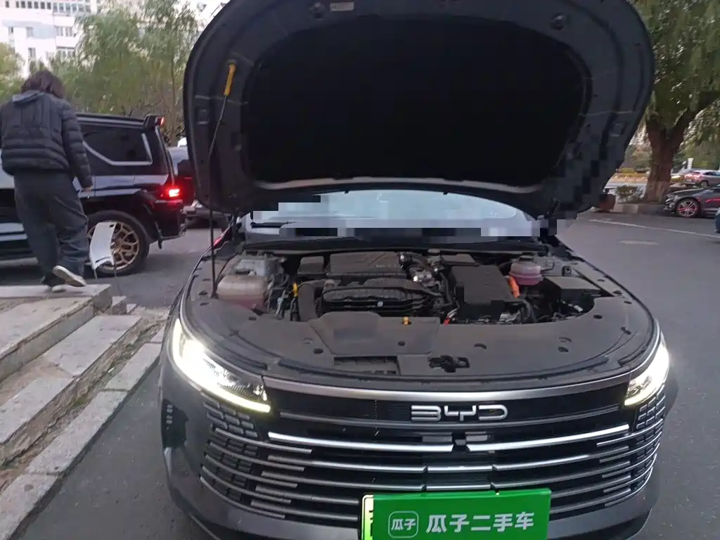BYD Destroyer 05 — миниатюра 21