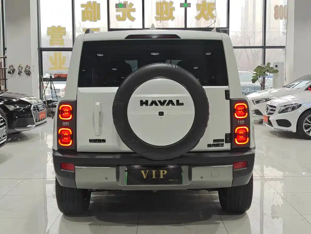 HAVAL RAPTORS NEW ENERGY