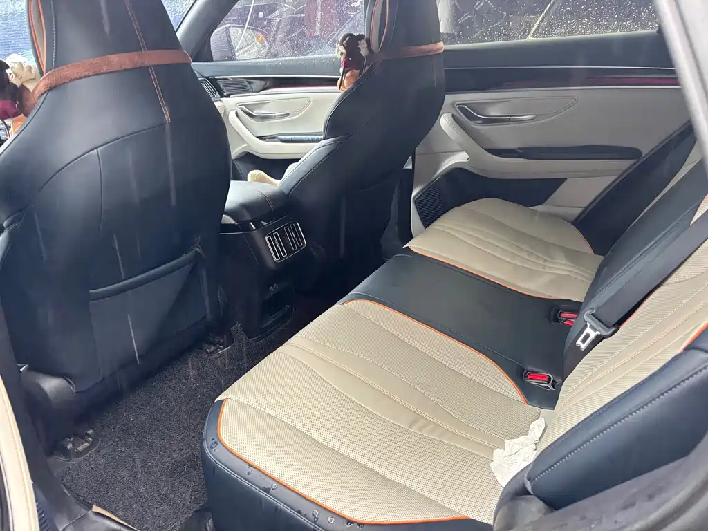 BYD PLUS New Energy — миниатюра 6