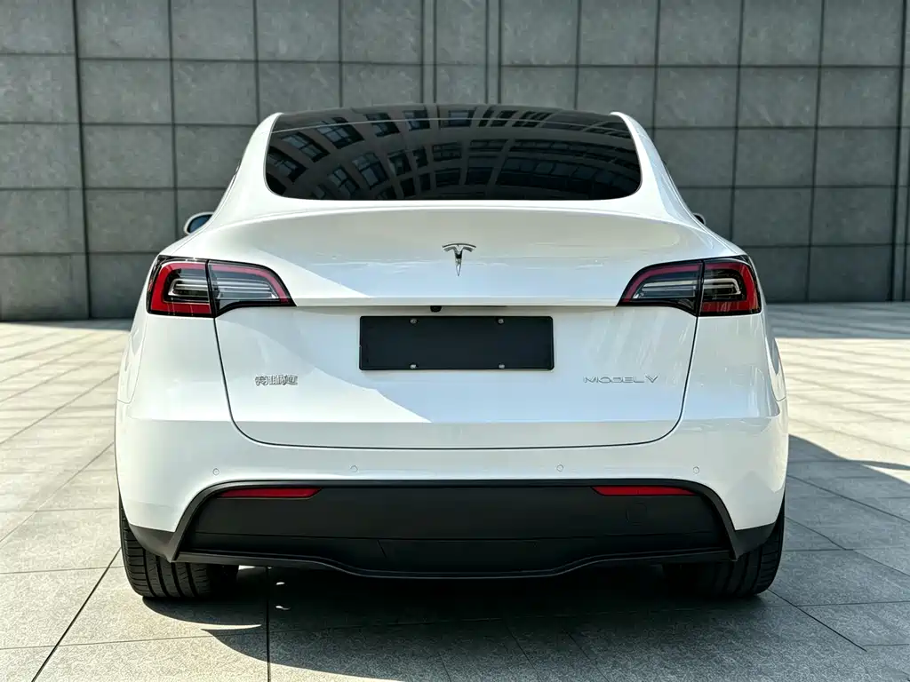 Tesla Model Y — миниатюра 14