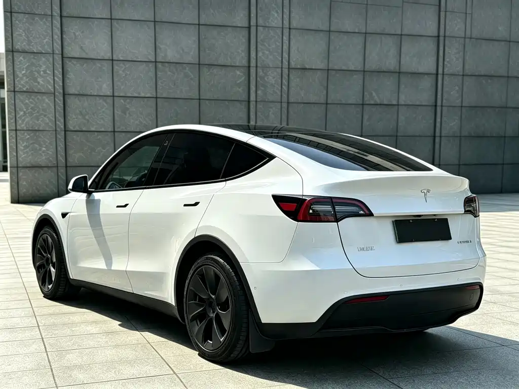 Tesla Model Y — миниатюра 13