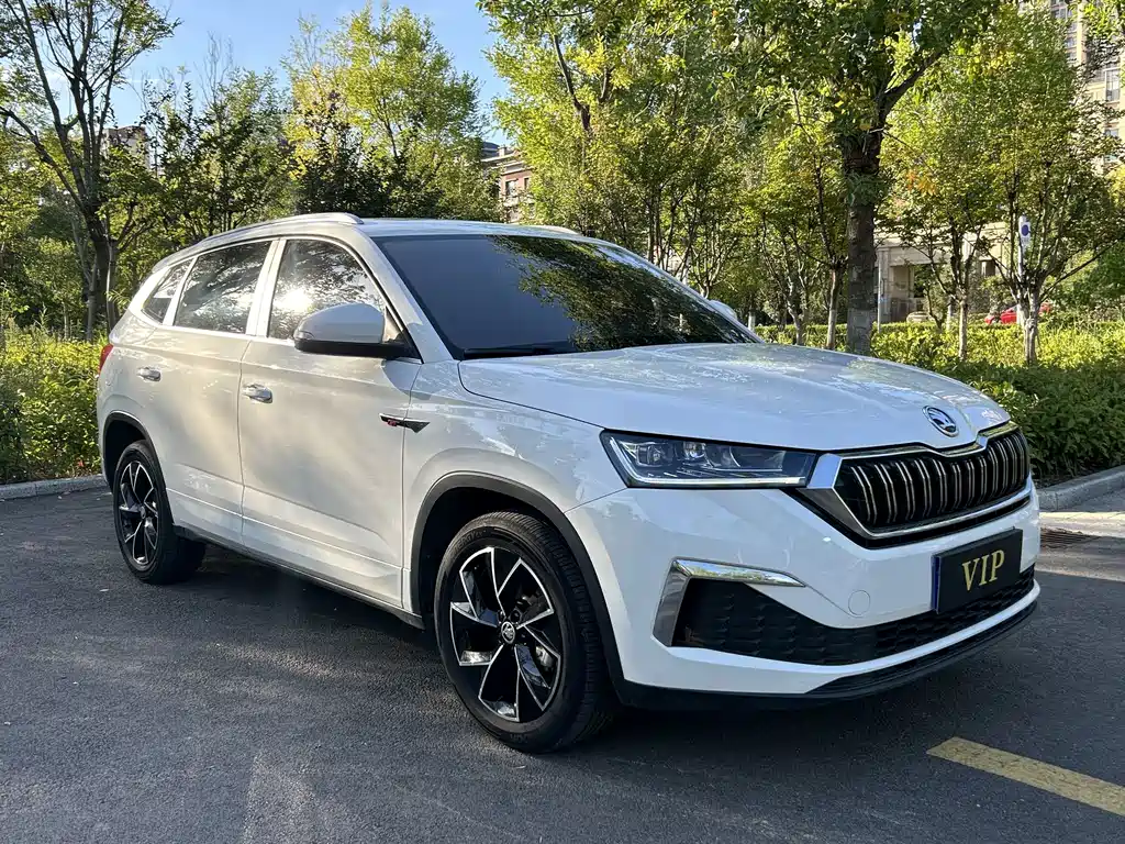 Skoda Kamiq — миниатюра 3