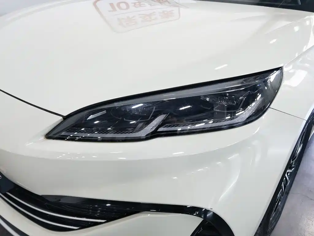 BYD Seal 06 06 2024 DM-i 80KM Luxury