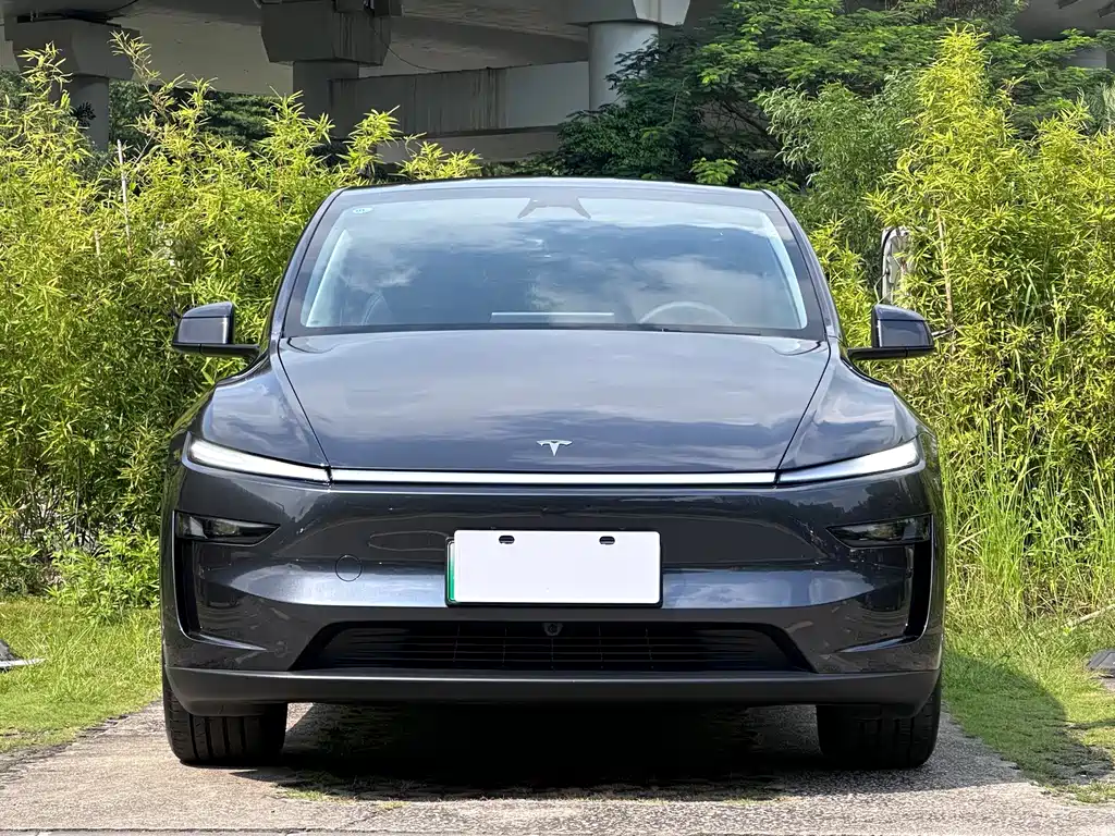 Tesla Model Y — миниатюра 2