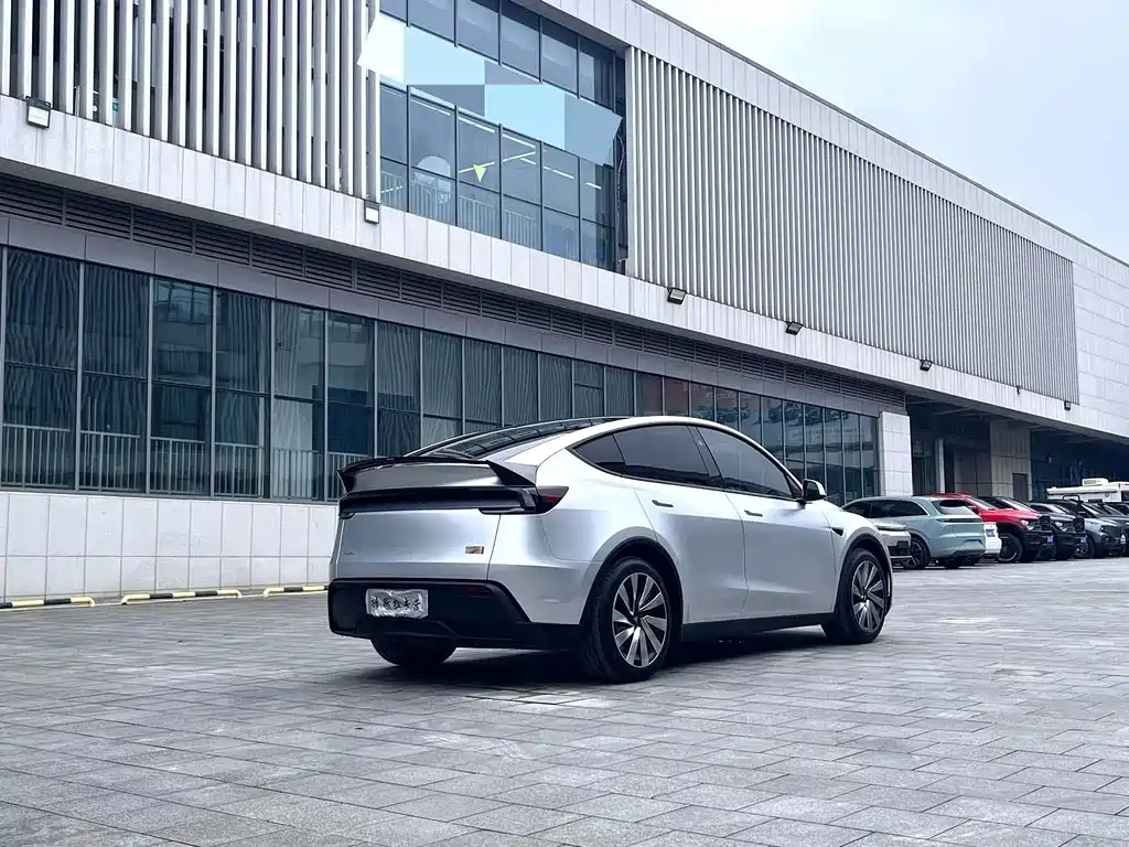 Tesla Model Y — миниатюра 4