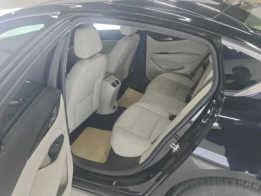 Buick Regal — миниатюра 11