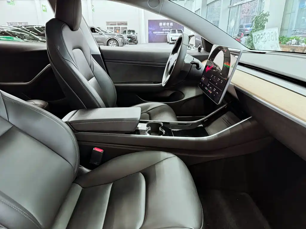 Tesla Model 3 — миниатюра 17