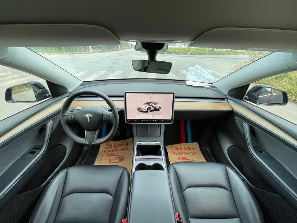 Tesla Model Y — миниатюра 12