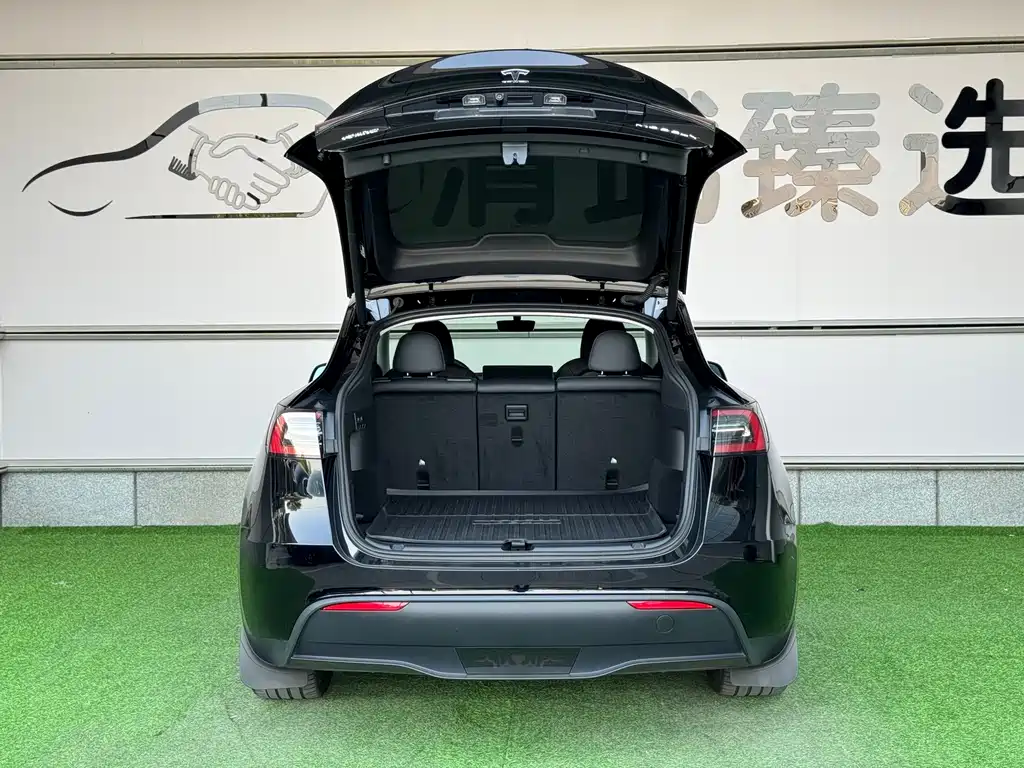 Tesla Model Y — миниатюра 12