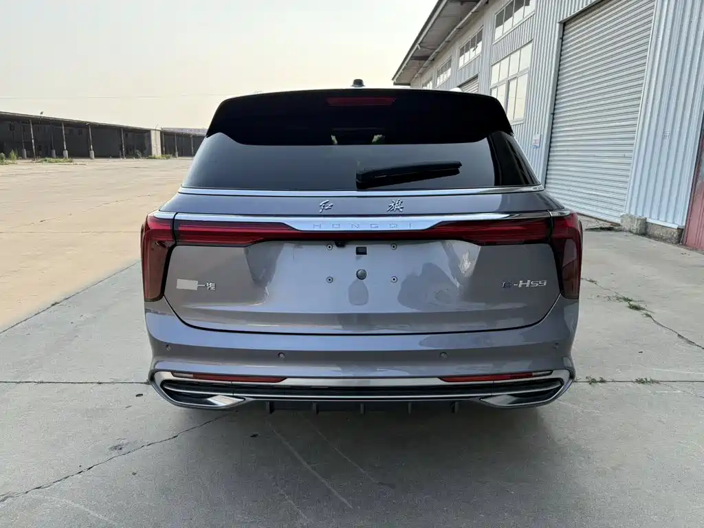 Hongqi E-HS9 2021 460km мест
