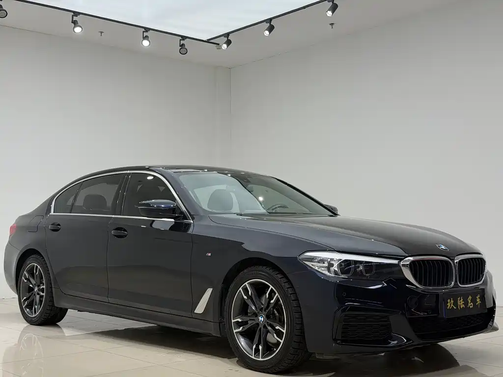 BMW 5 Series — миниатюра 3