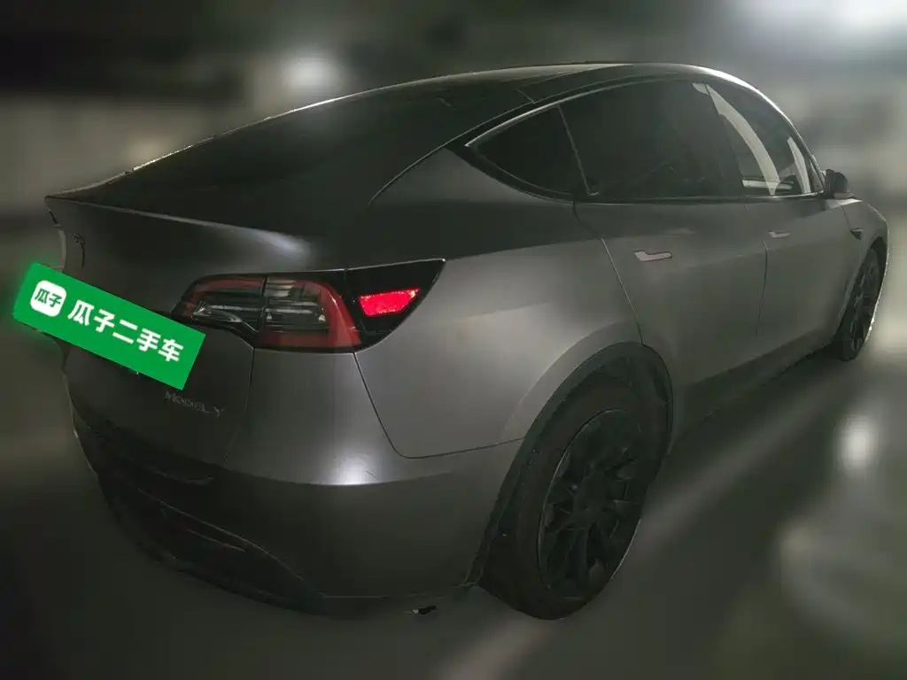 Tesla Model Y — миниатюра 5