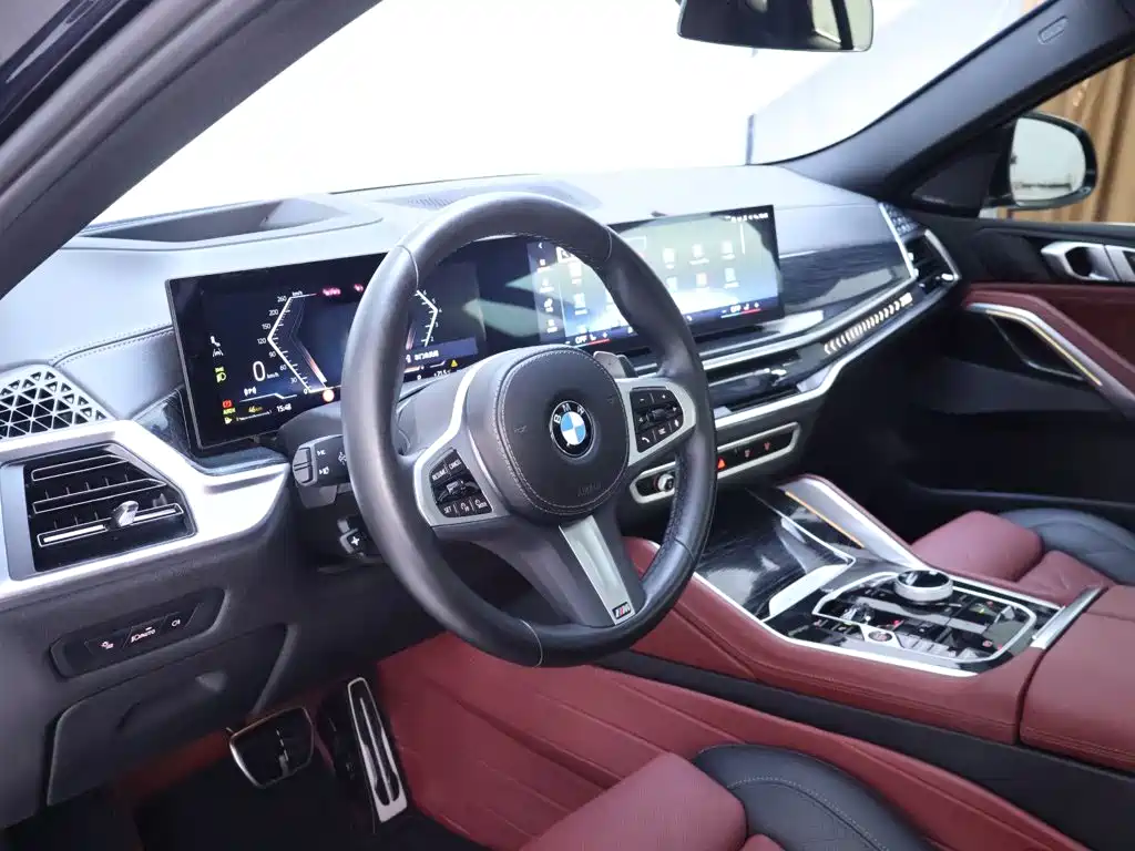 BMW X6 — миниатюра 11