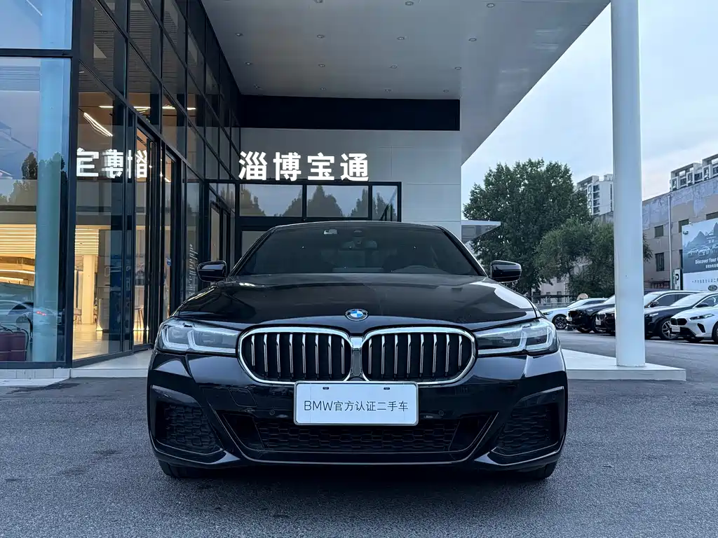 BMW 5 Series — миниатюра 3