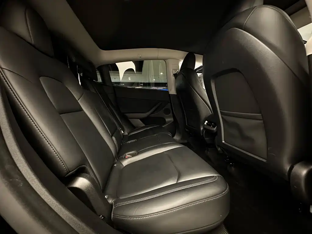 Tesla Model Y — миниатюра 16