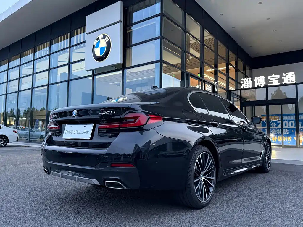 BMW 5 Series — миниатюра 13