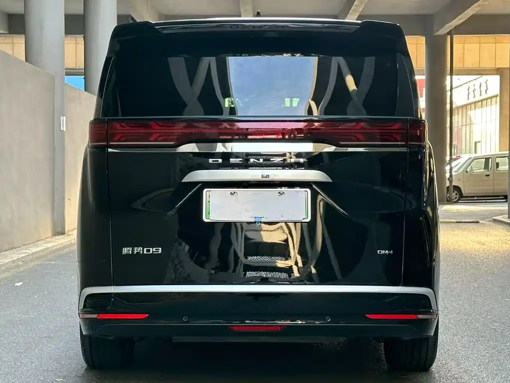 Denza Denza D9 — миниатюра 4
