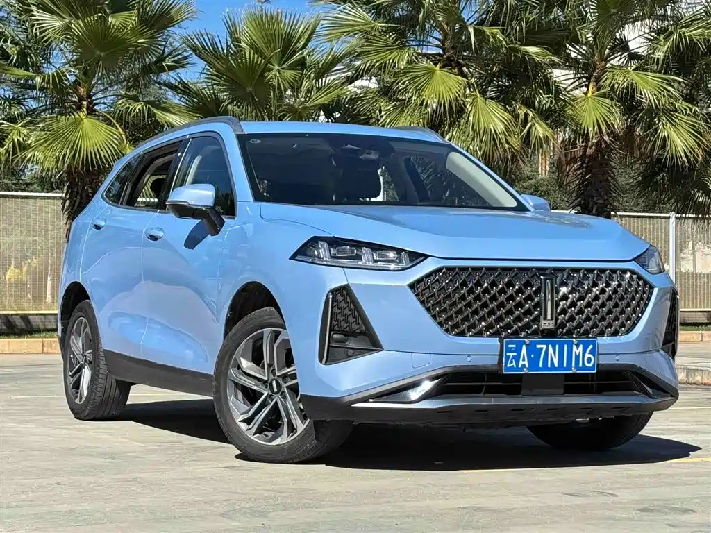 WEI PAI MACCHIATO DHT