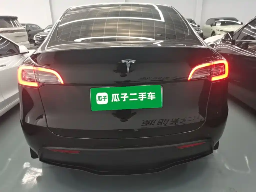 Tesla Model Y — миниатюра 6