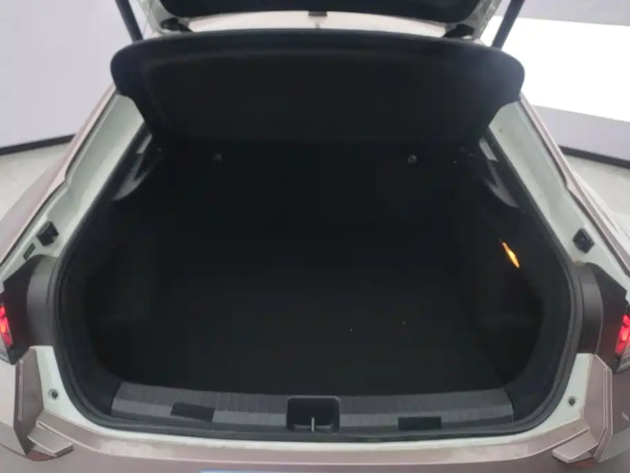 Volkswagen Lamando — миниатюра 4