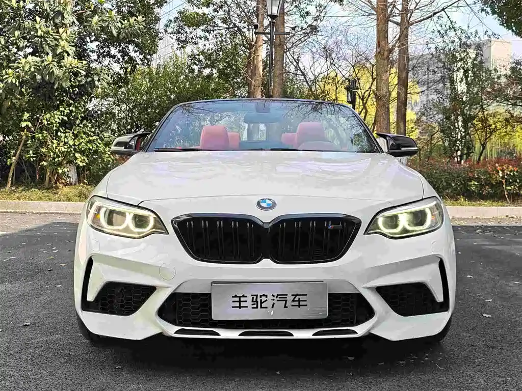 BMW 2 Series (Import) 2016