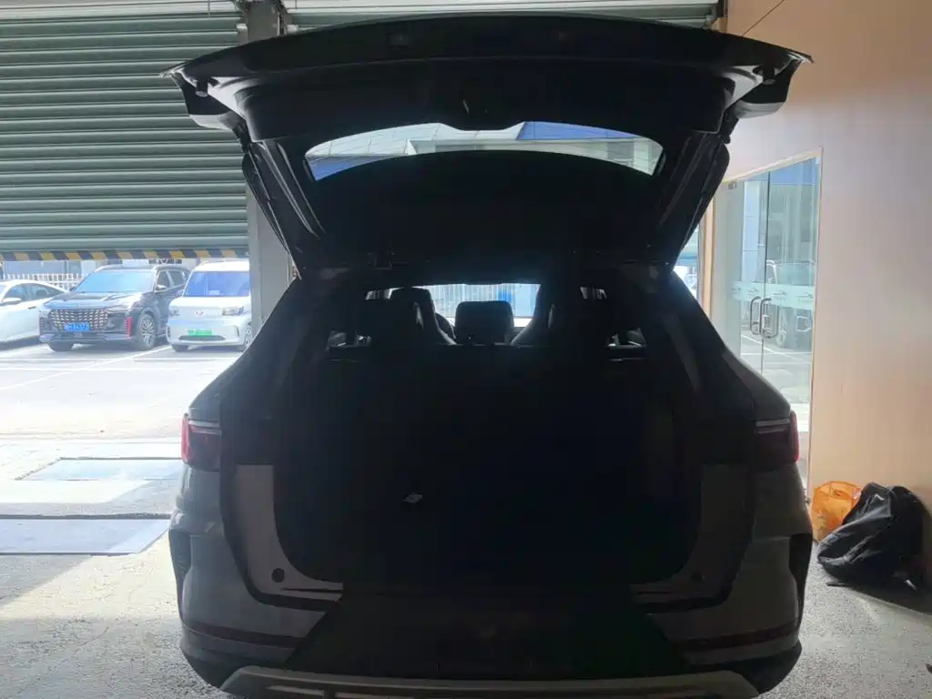 BYD PLUS — миниатюра 19