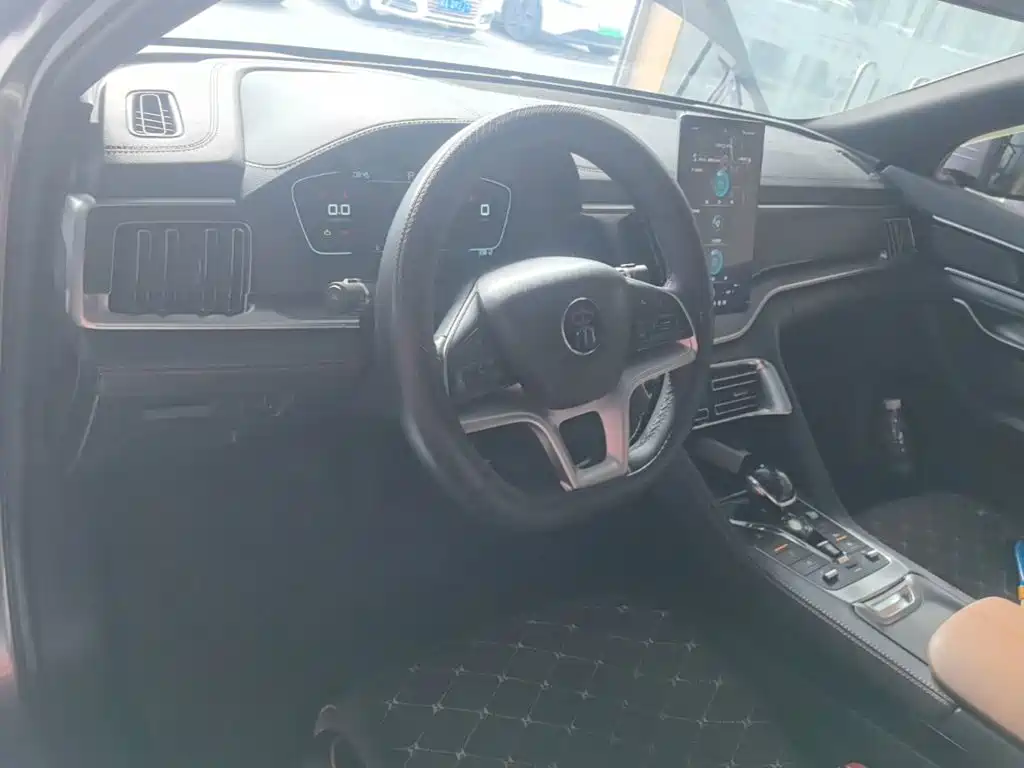 BYD PLUS — миниатюра 10