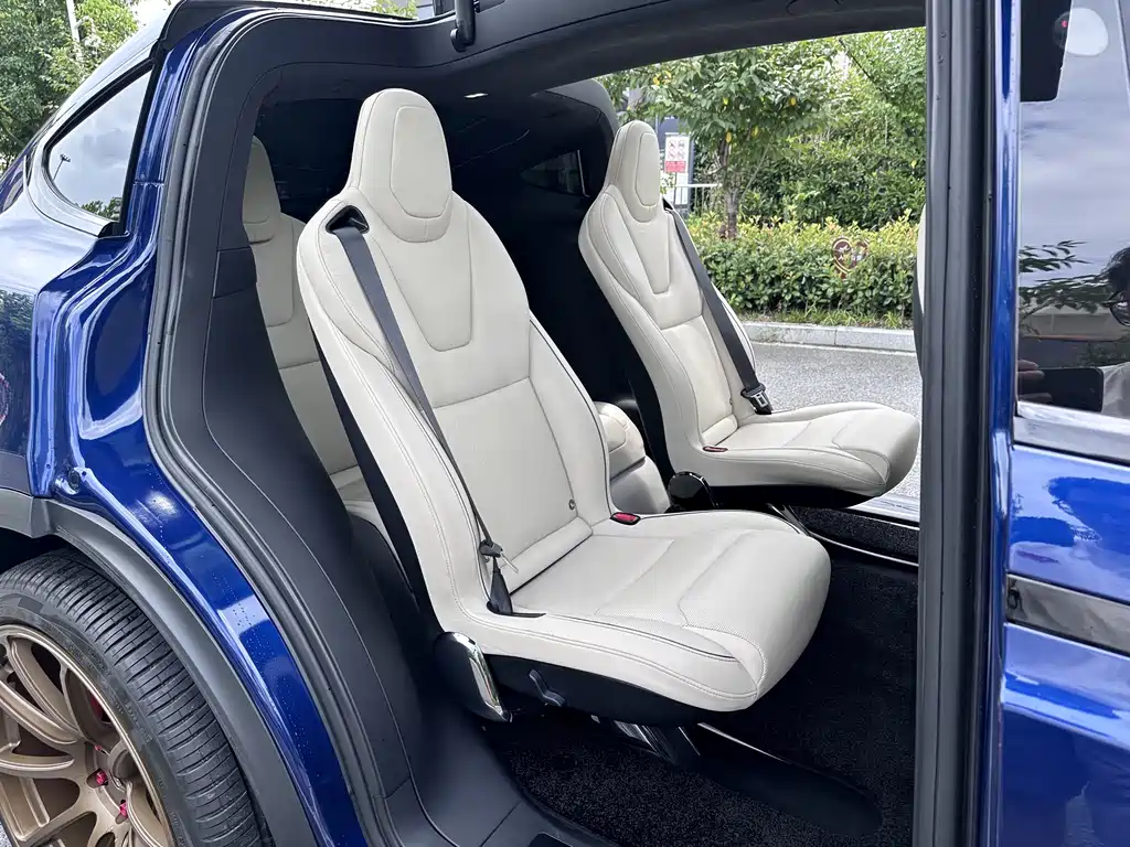 Tesla Model X — миниатюра 20