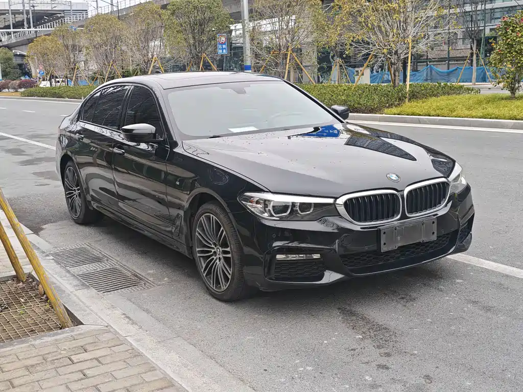 BMW 5 SERIES