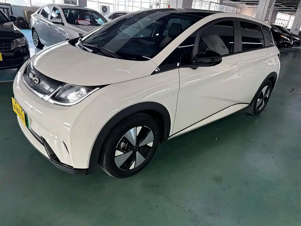 Byd Dolphin 2023