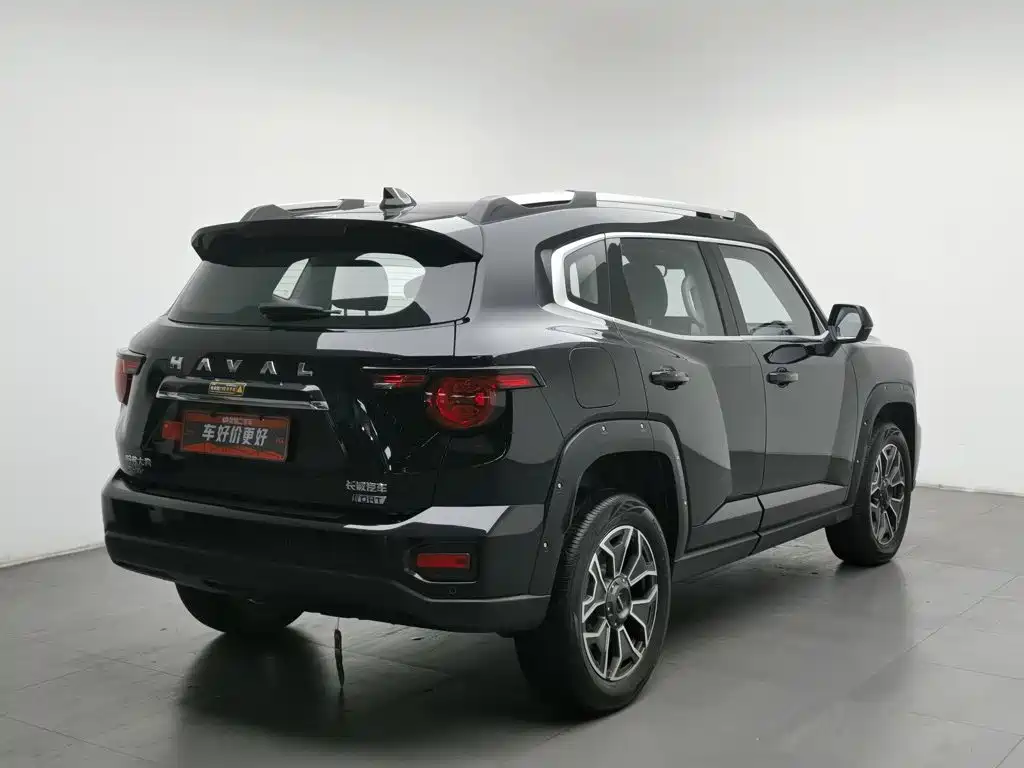Haval Big Dog PLUS New Energy — миниатюра 2