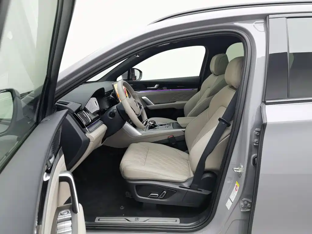 BYD Tang New Energy — миниатюра 10