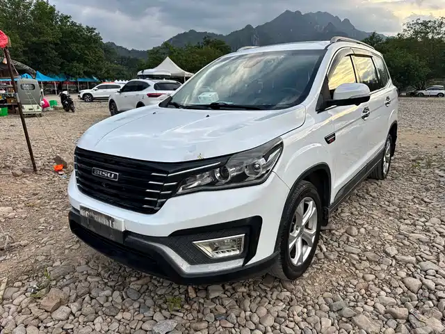 2017 BAIC T5