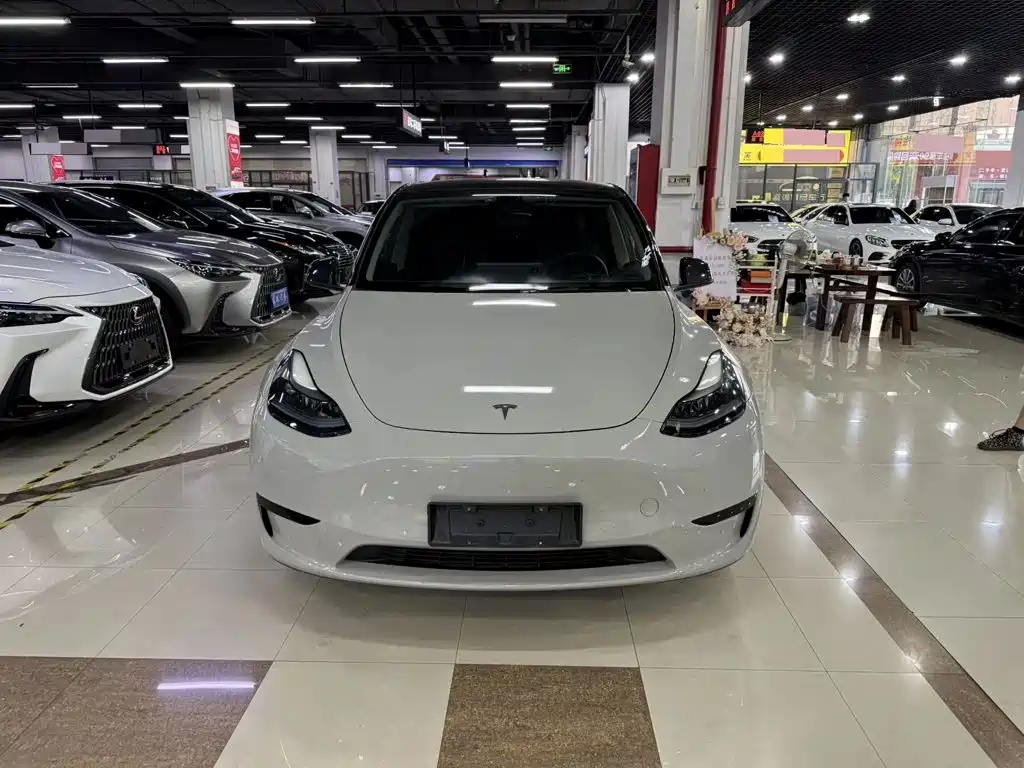 Tesla Model Y — миниатюра 2