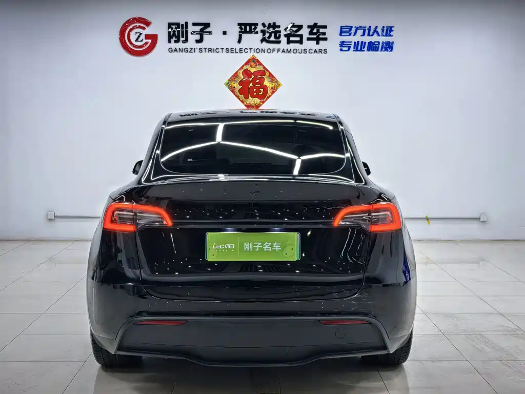 Tesla Model Y — миниатюра 5