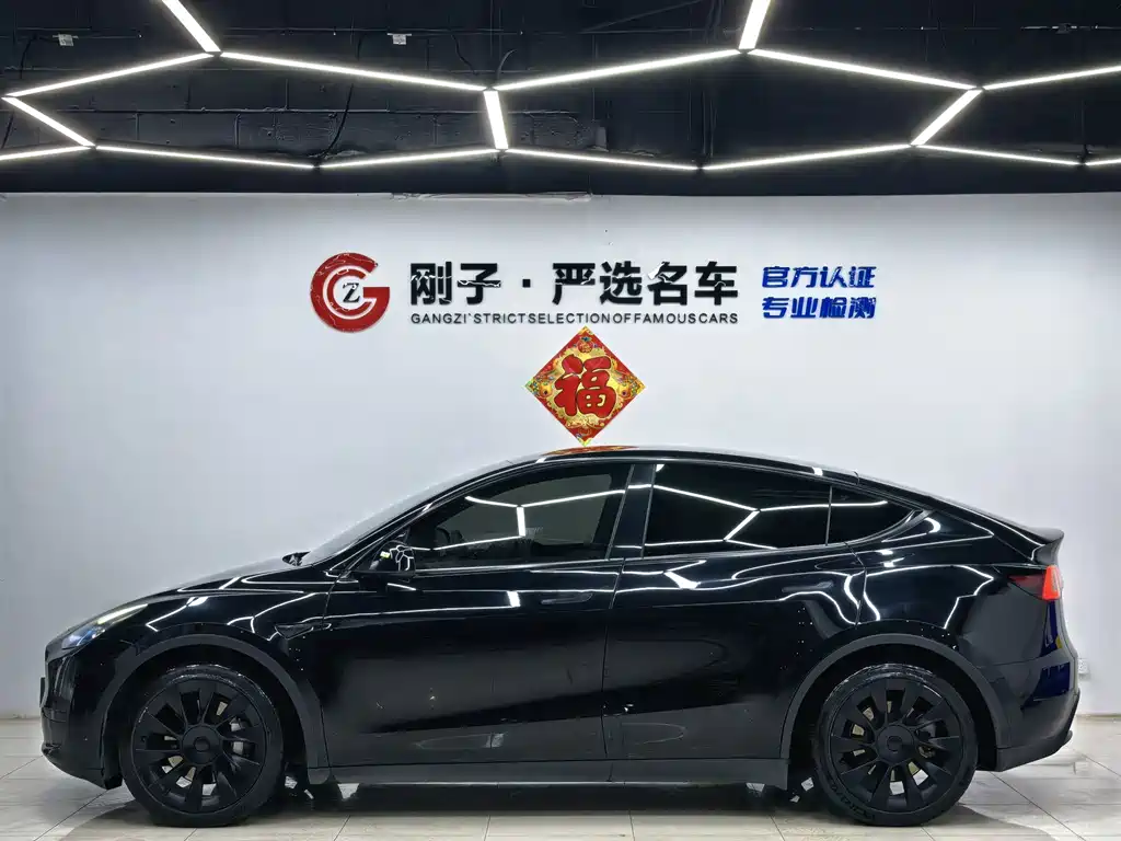 Tesla Model Y — миниатюра 13