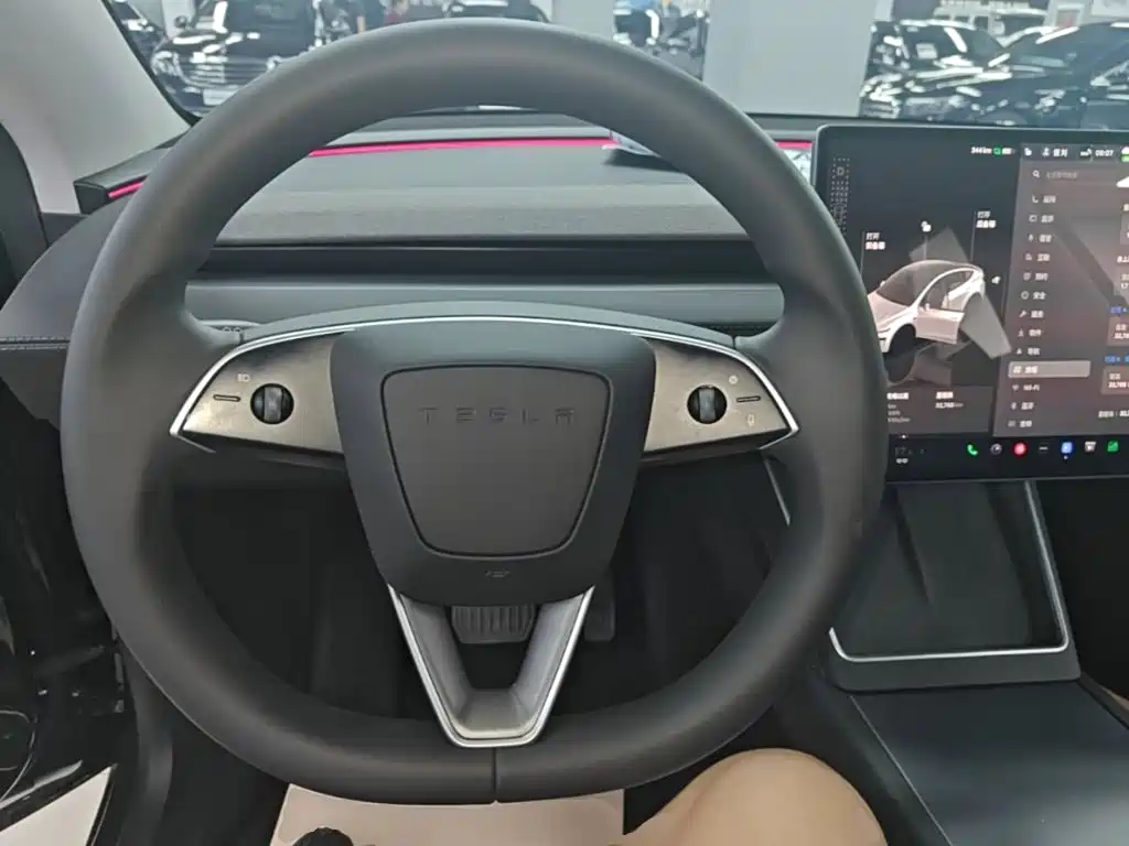 Tesla Model Y — миниатюра 11