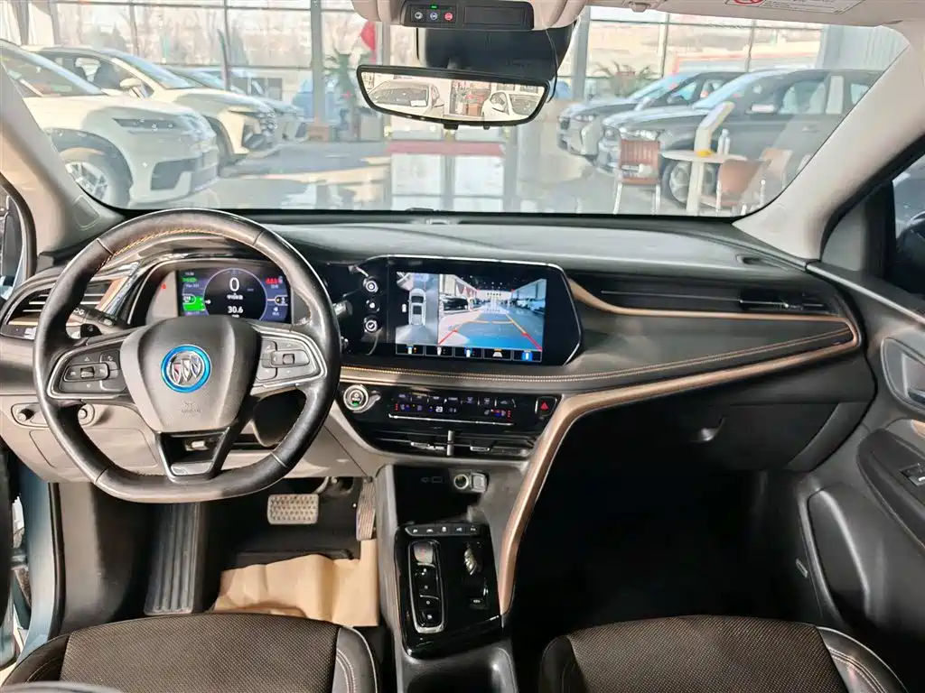 BUICK SLIGHTLY BLUE 7