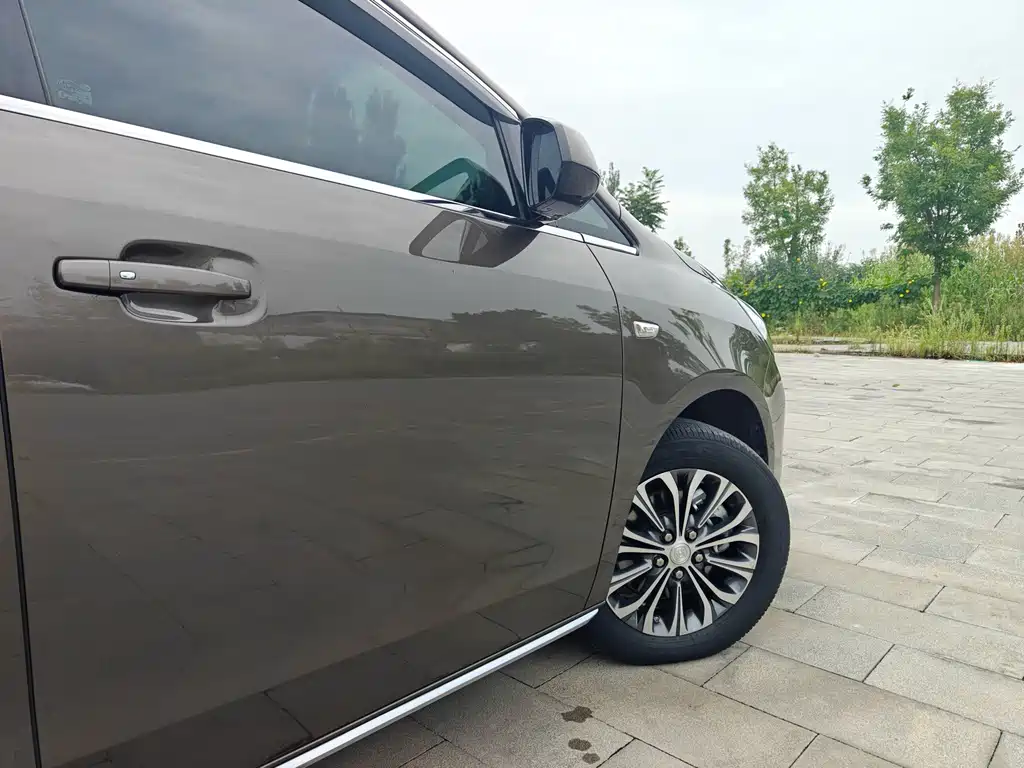 Buick GL8 — миниатюра 28