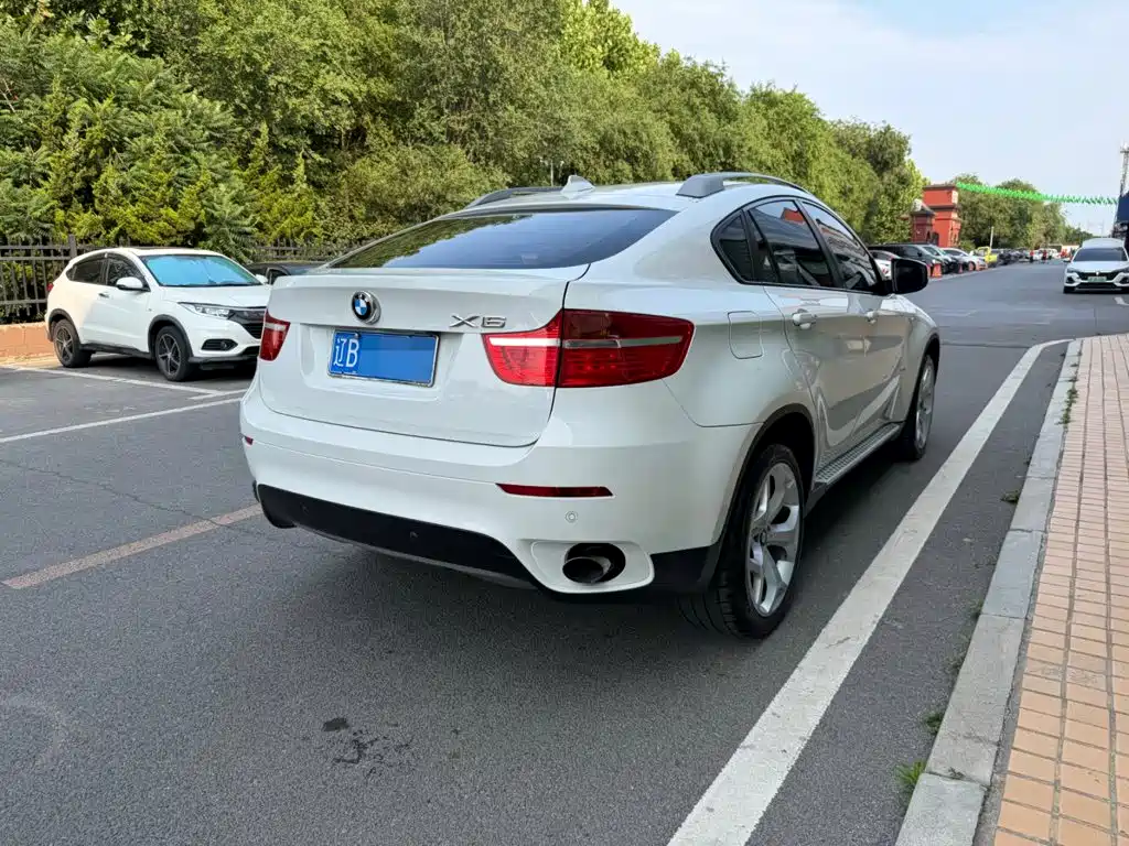 BMW X6 — миниатюра 13